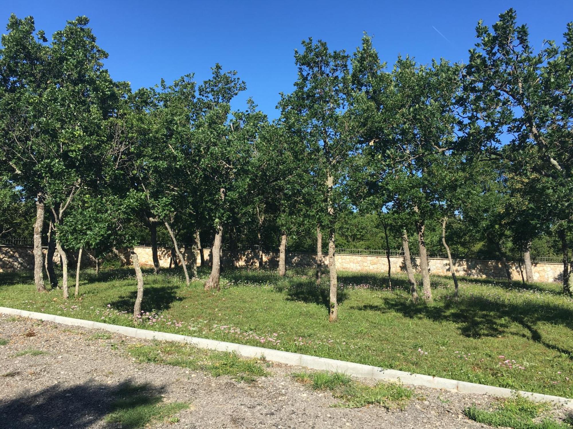 Micanovi Dvori Mobile Home Village Zrmanja Оброваць Екстер'єр фото